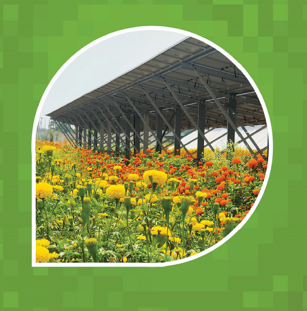 Integrated Value Chain Approach for Agrivoltaic Systems
