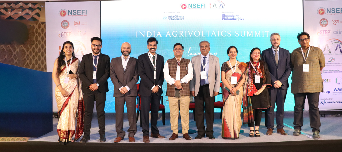 Agrivoltaics field