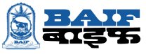 Member 11 logo